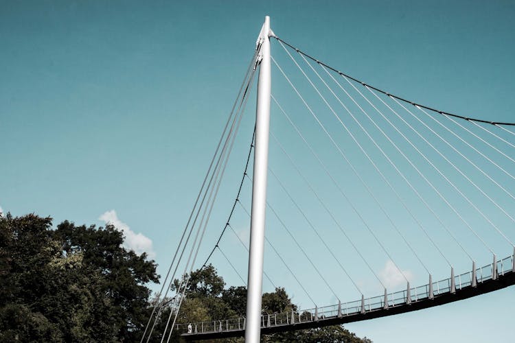 Cable Stayed Bridge Near Trees Under Blue Sky