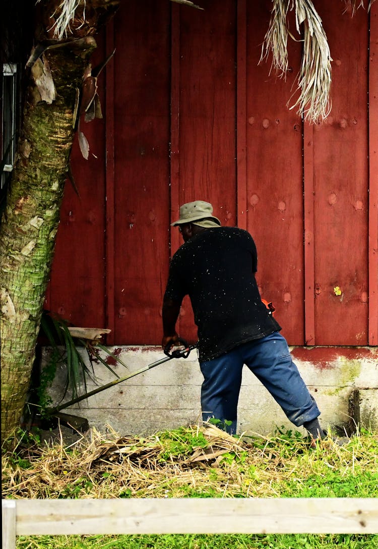 Back View Shot Of A Man Cutting The Grasses