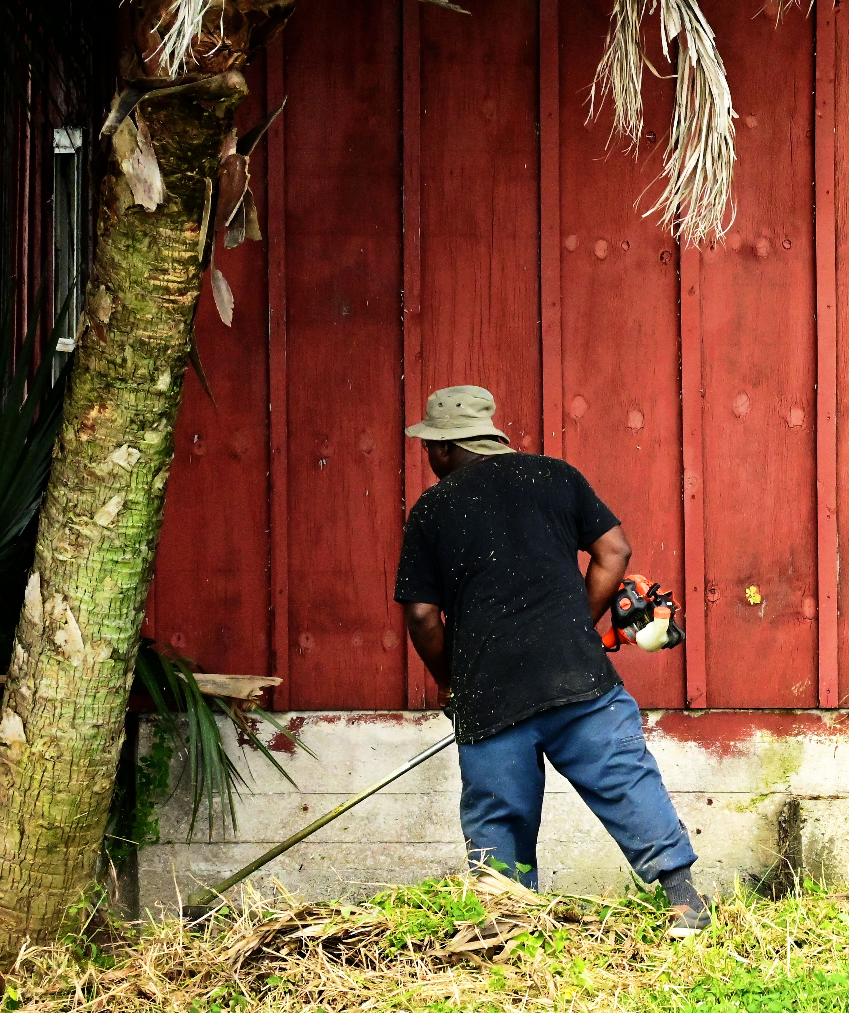 30+ besten Landschaftsbau Fotos · 100 % kostenloser Download · Pexels