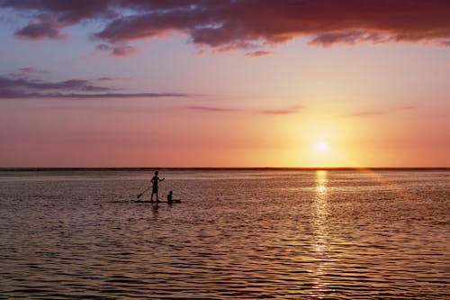 A Silhouette of Boys Standup Paddleboarding in the Ocean during the Golden Hour