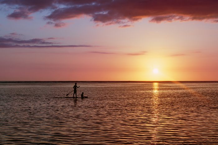 Young paddleboarders