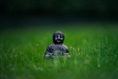 Photos gratuites de bouddha, Bouddhisme, champ d'herbe