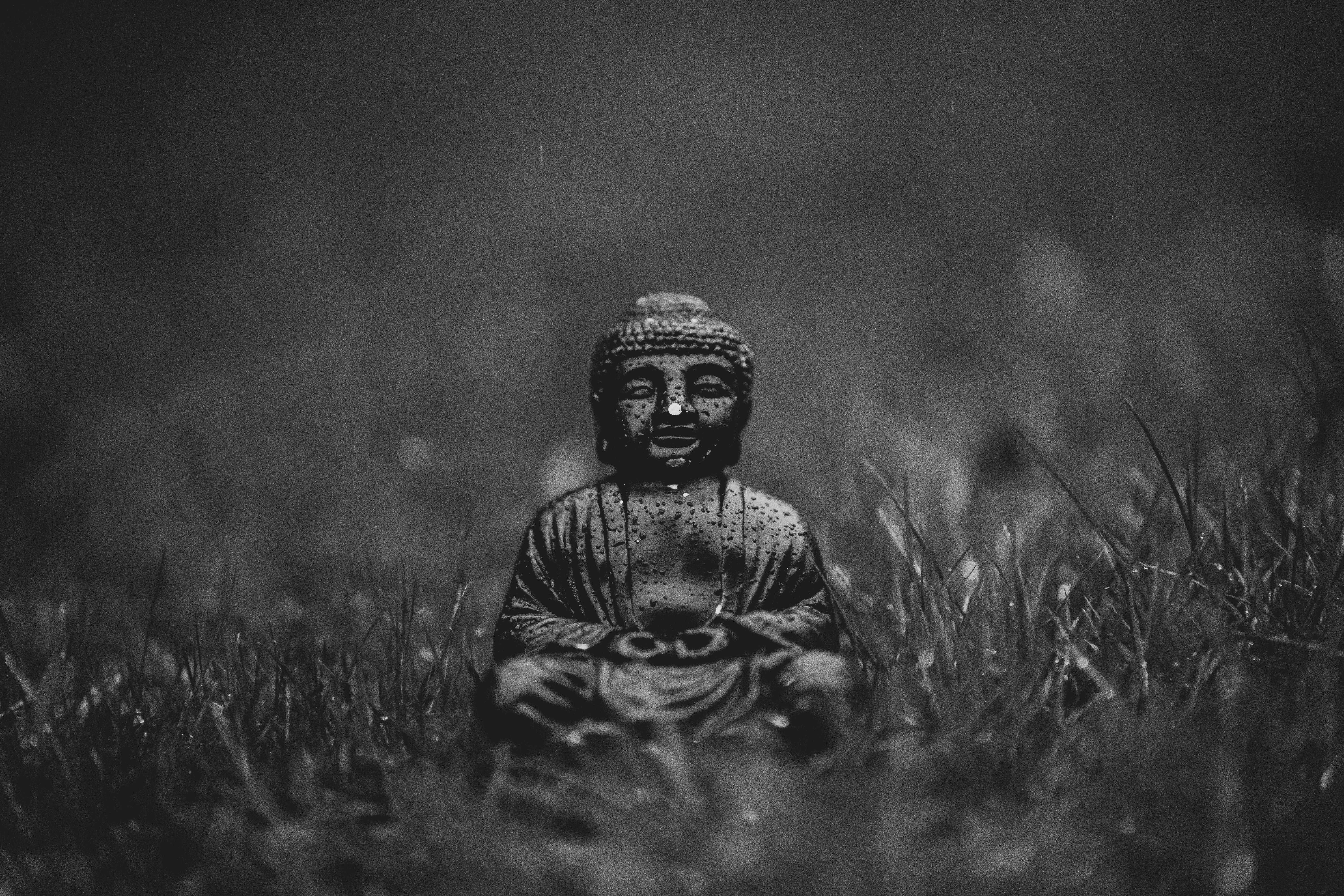 Free Serene black and white image of a Buddha statue sitting in a grass field. Stock Photo