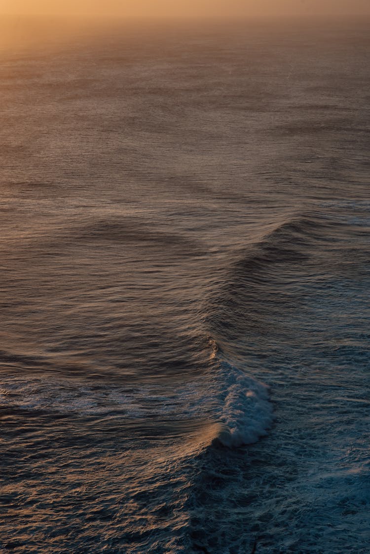 Photo Of Wave On Body Of Water