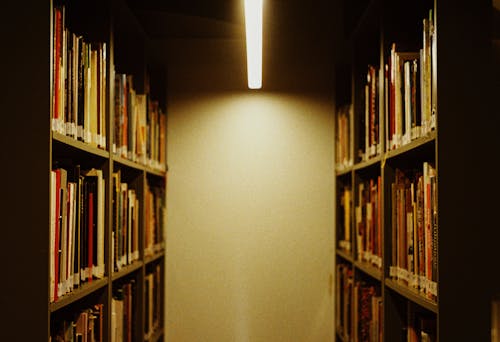 Free Bookshelves with Books in Library Stock Photo
