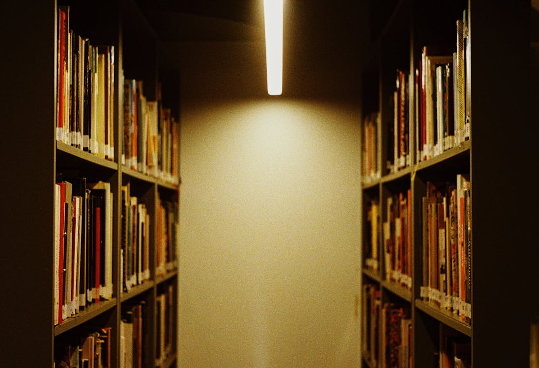 Bookshelves with Books in Library