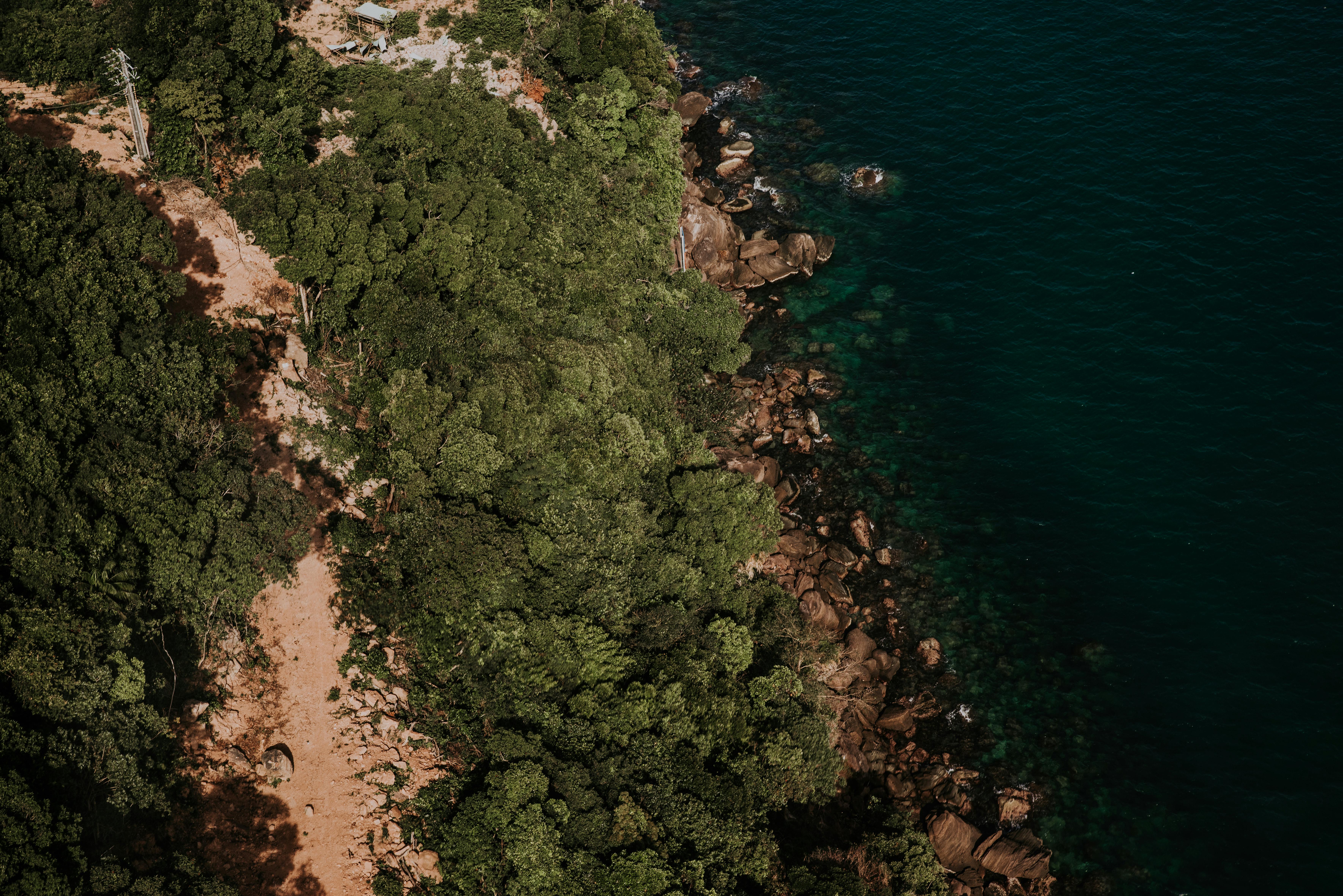 Stunning aerial shot of Vietnam's coastline with dense forest and rocky shores, showcasing nature's beauty.