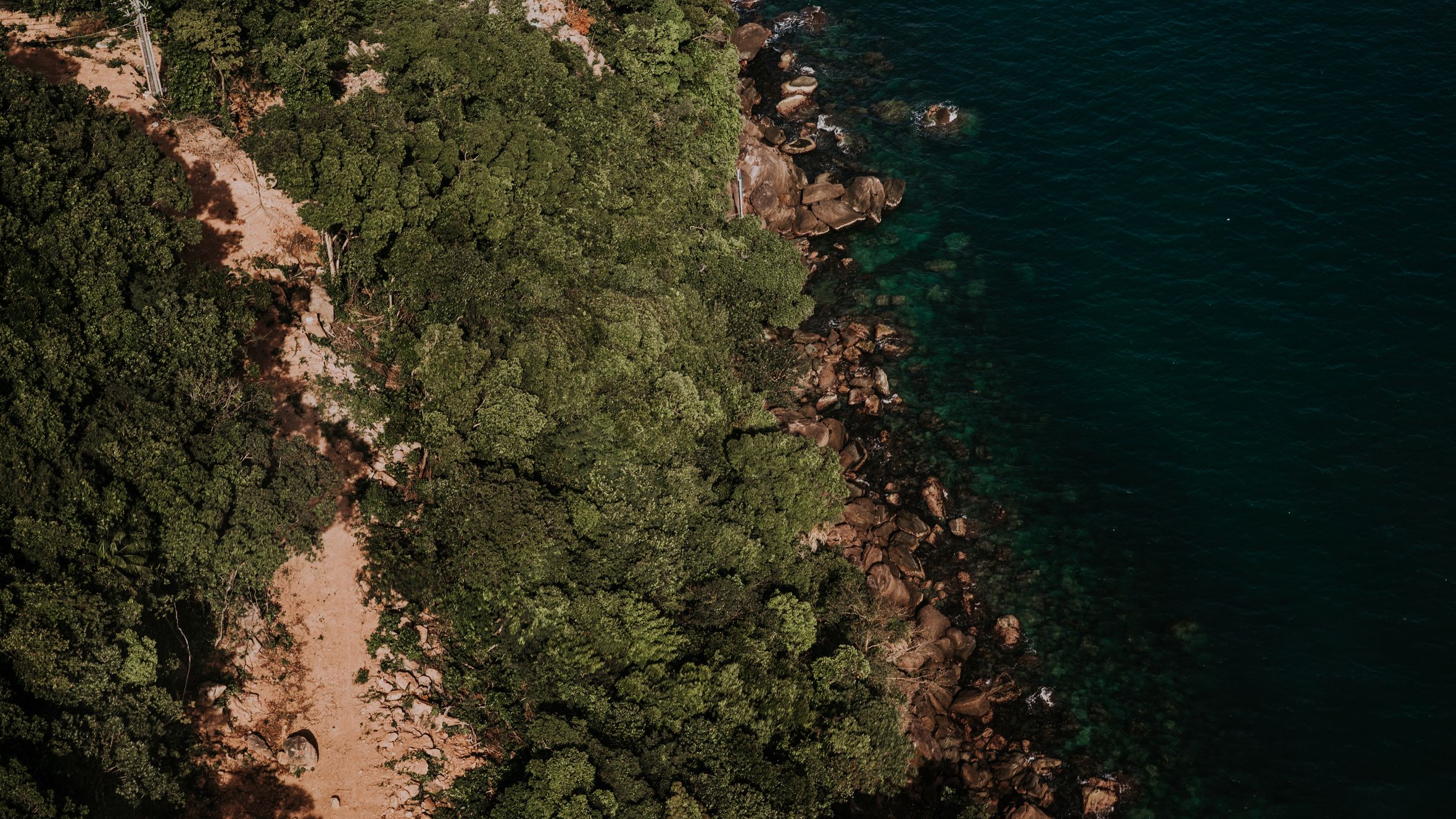 Stunning aerial shot of Vietnam's coastline with dense forest and rocky shores, showcasing nature's beauty.