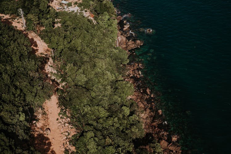 Aerial Shot Of A Rocky Shore