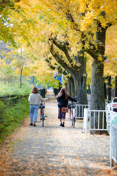 Women with Bikes Walking under Trees