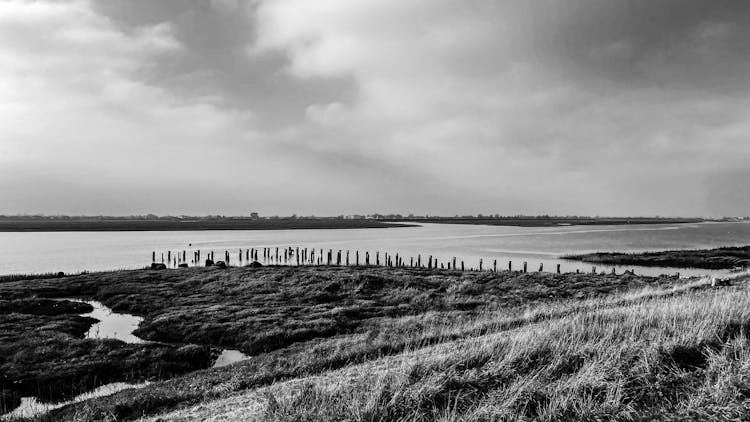 Lake And Wooden Posts 