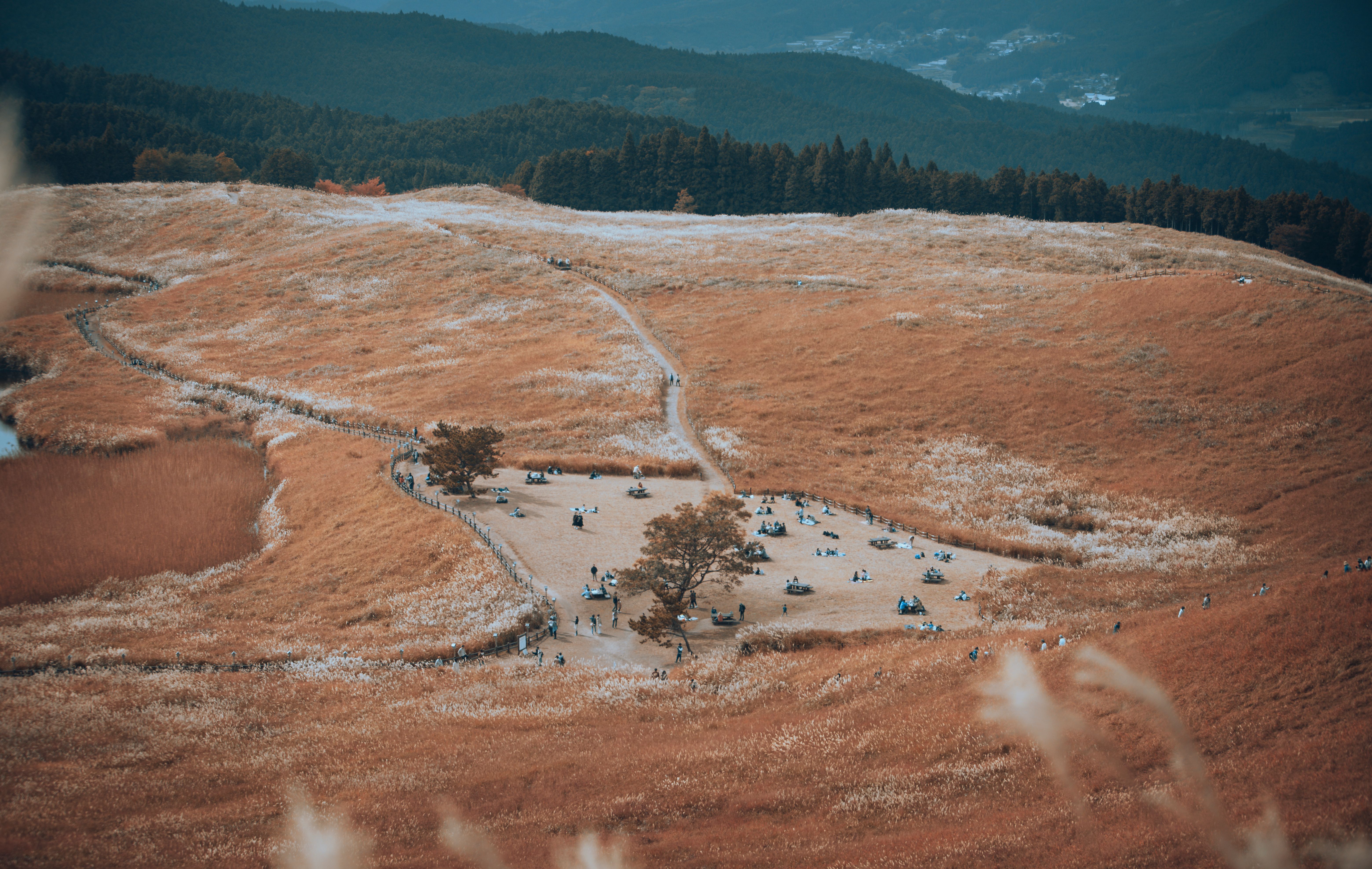 5 Day Yoga Retreat with Onsens Hot Springs in Japan 2