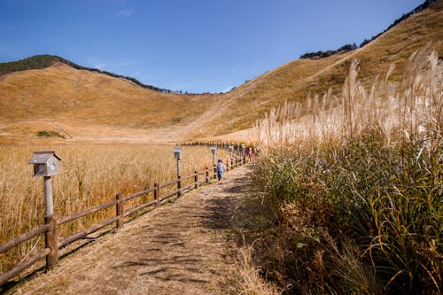 Kostenloses Stock Foto zu feldweg, gras, hügel