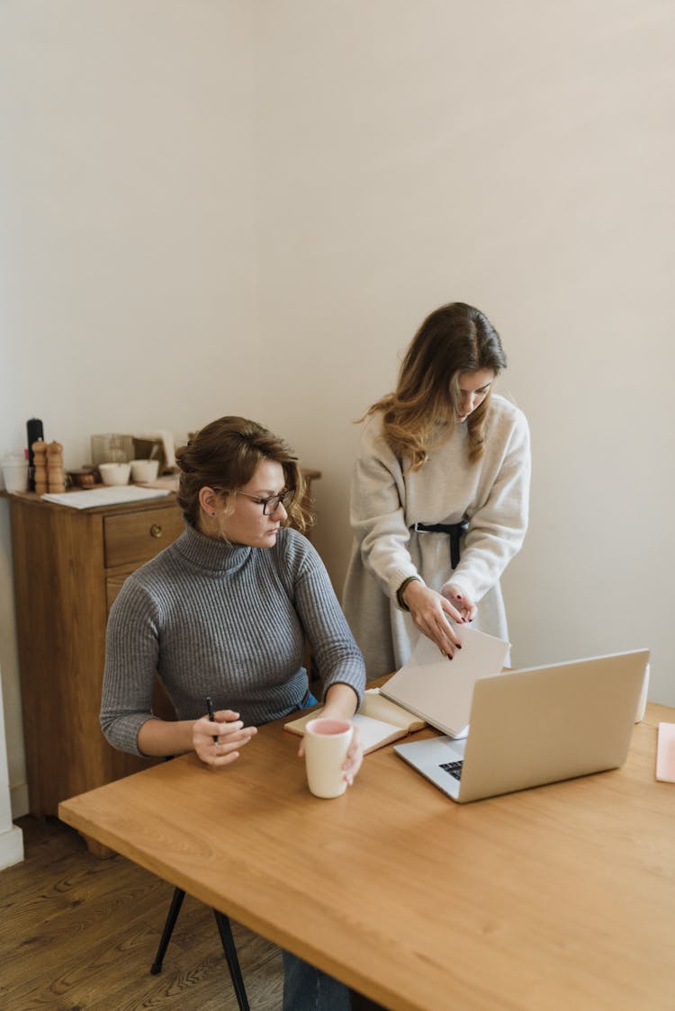 Women Working On Laptop At Desk In Office