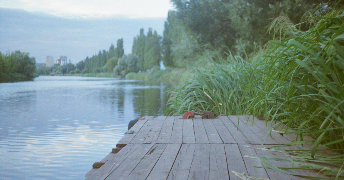 Jetty In River Grass and Wooden Jetty by a River · Free Stock Photo