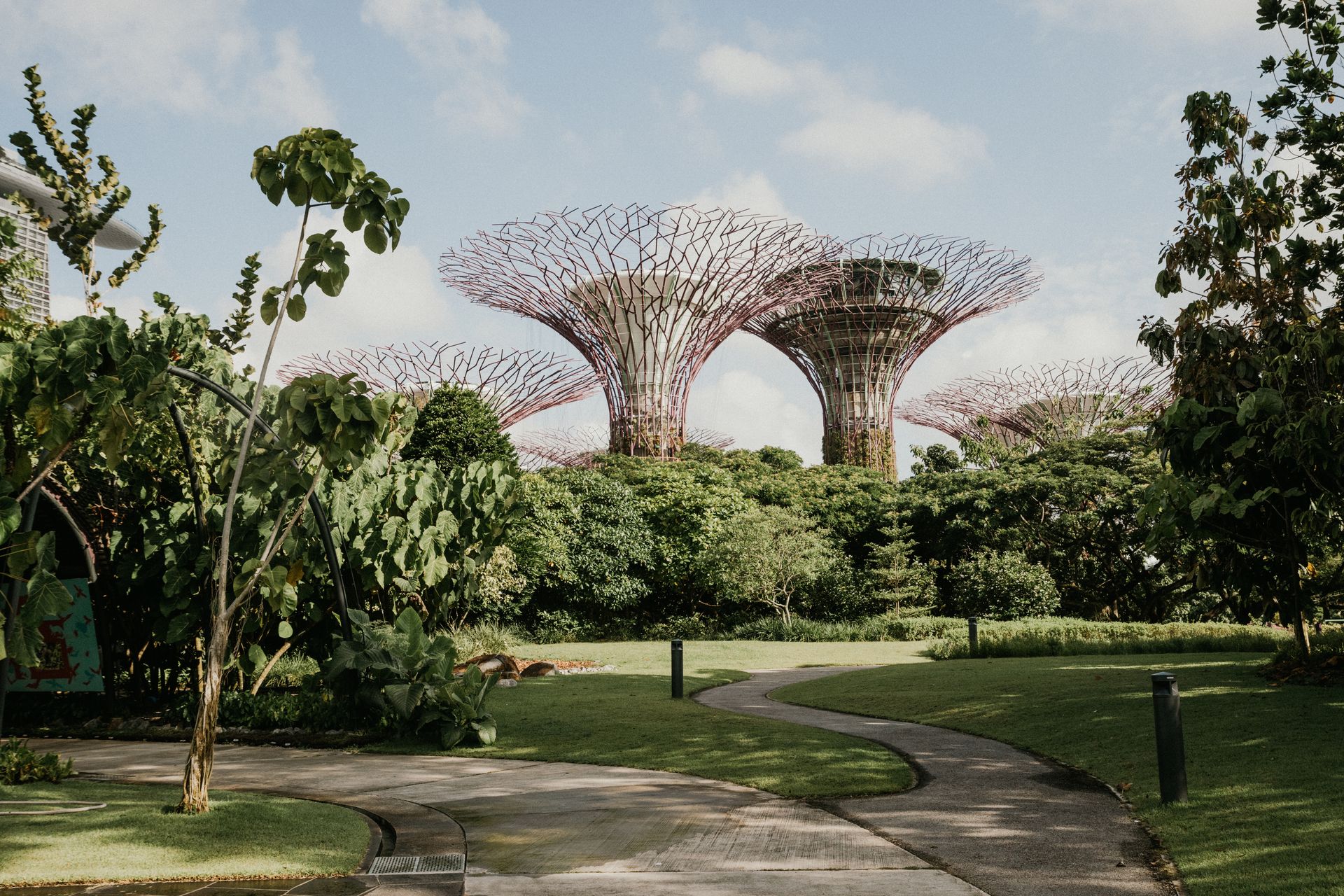 Lush gardens and iconic Supertree structures at Gardens by the Bay, Singapore.