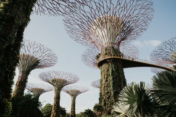 Singapore - Transfers