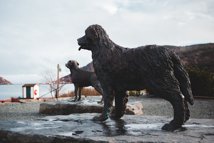 Bronze Monuments To Dogs Outdoors