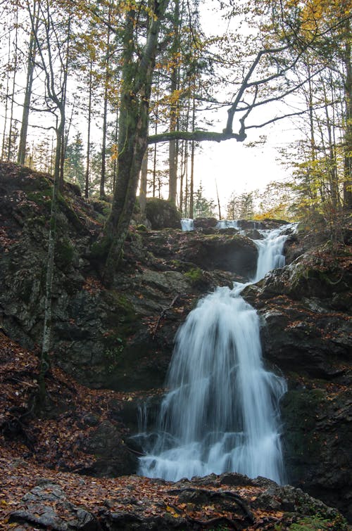 Free Waterfall on Rocks in Forest Stock Photo