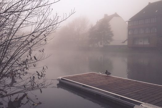 Pinkish Gray Photo of a Duck on a Jetty on Pond and Houses in Mist
