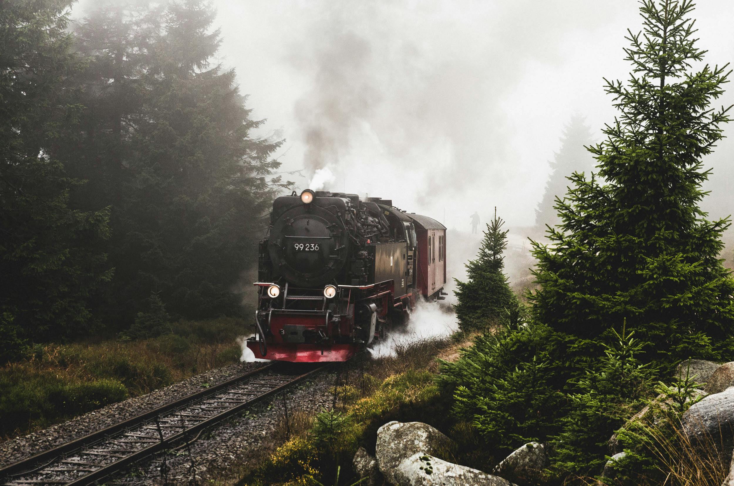 Red and black train on rail tracks near green trees. | Photo: Pexels