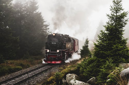 Ancient Locomotive Train in Forest