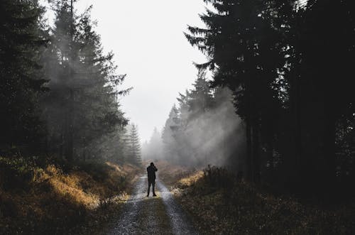 Man Standing on the Road in Forest on a Foggy Day 