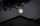 moon video