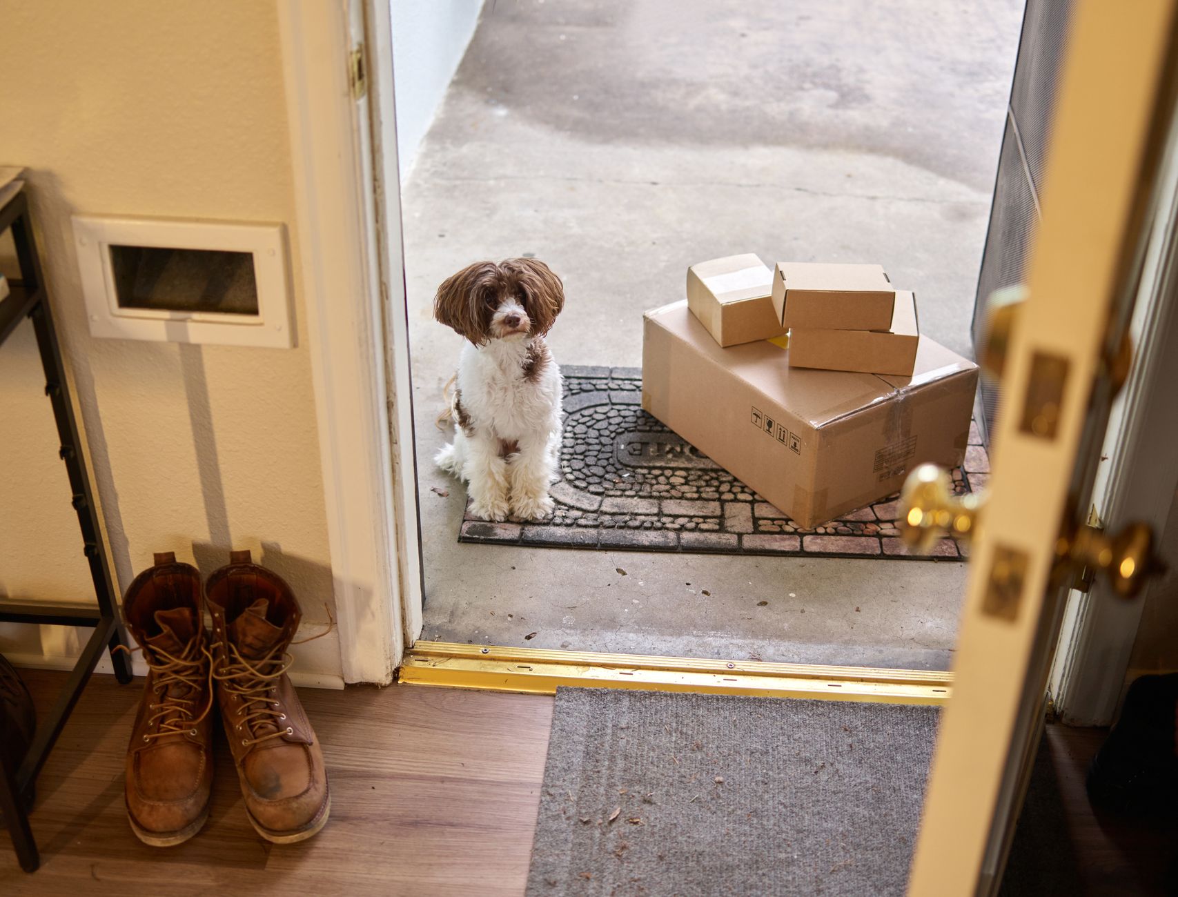 A dog waits by the door as Chewy packages arrive, reflecting the Autoship subscriptions that drove 84.4% of Q1 net sales.