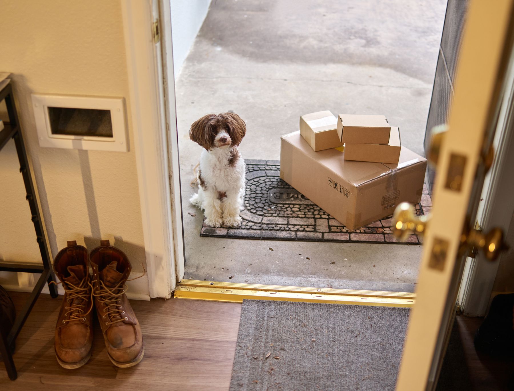 Dog waiting beside delivered cardboard packages on a front doormat