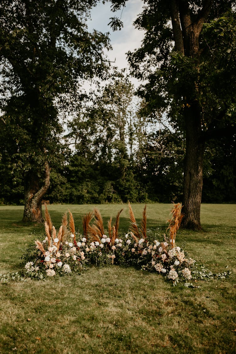 Trees On A Grassy Field