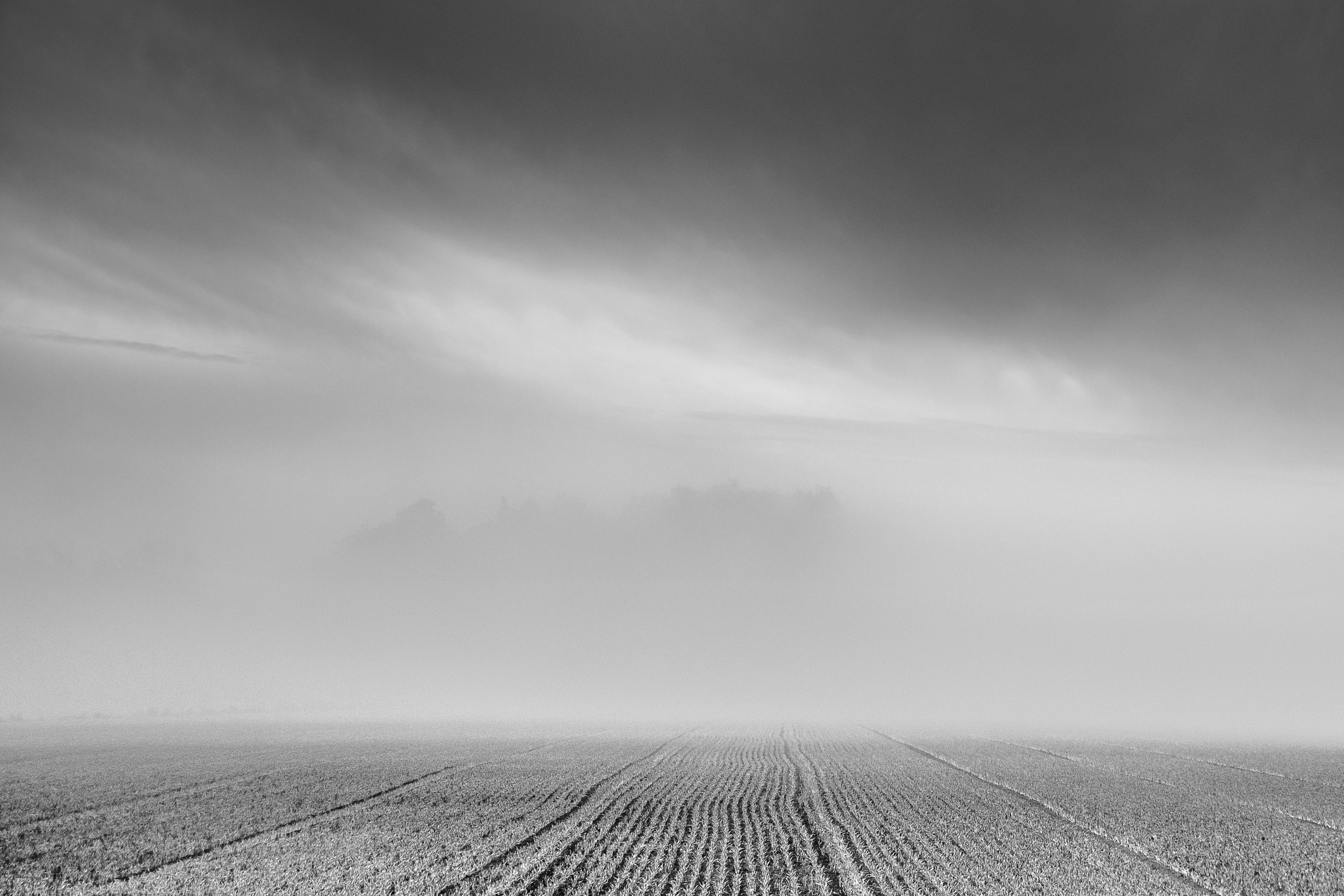 A parched farm field stretching to the horizon under a heat haze
