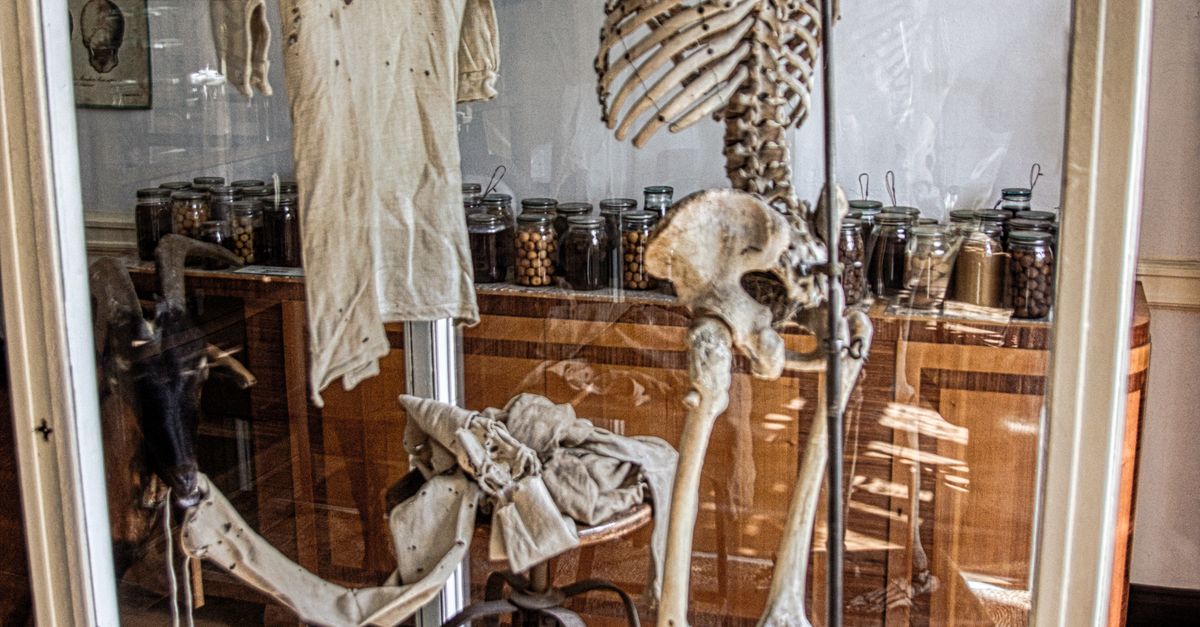 Los 10 huesos y órganos humanos que desafían las explicaciones médicas tradicionales Los 10 huesos y órganos humanos que desafían las explicaciones médicas tradicionales
