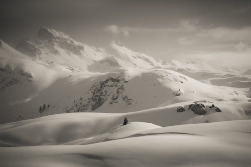Immagine gratuita di ambiente, coperto di neve, inverno