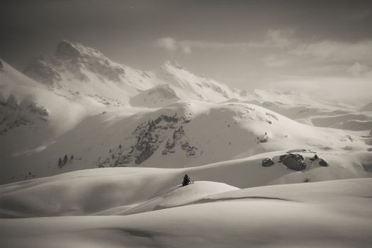 Stunning black and white photo of Swiss mountains blanketed in snow, capturing winter serenity.