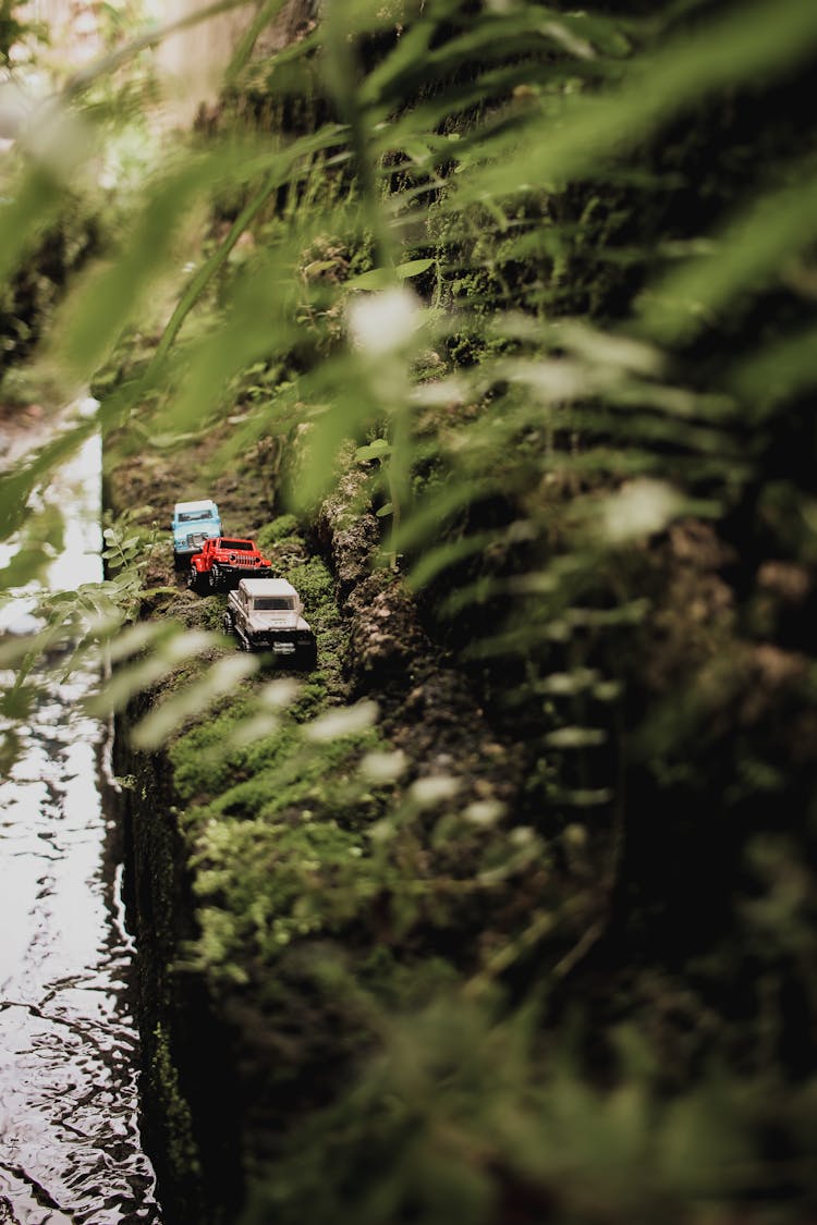 Three Matchbox Cars On Moss