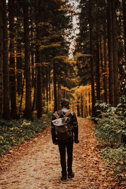 Person Carrying Backpack Walking on a Path