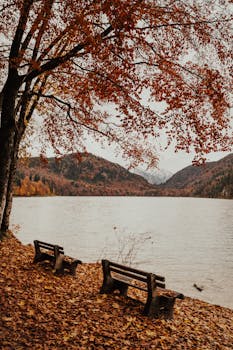 Tranquil autumn scene with benches by a lake surrounded by colorful foliage in Schwangau, Germany.