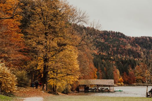Beautiful autumn landscape with vibrant foliage and a serene lake in Schwangau, Bavaria, Germany.