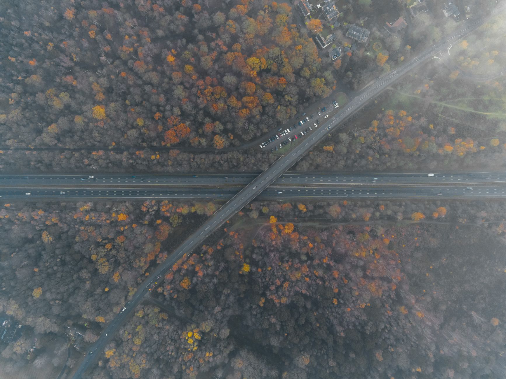 Malerischer Wald & Bäume – Naturmotiv als Hintergrundbild