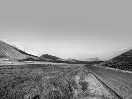Kostenloses Stock Foto zu parco nazionale abruzzo