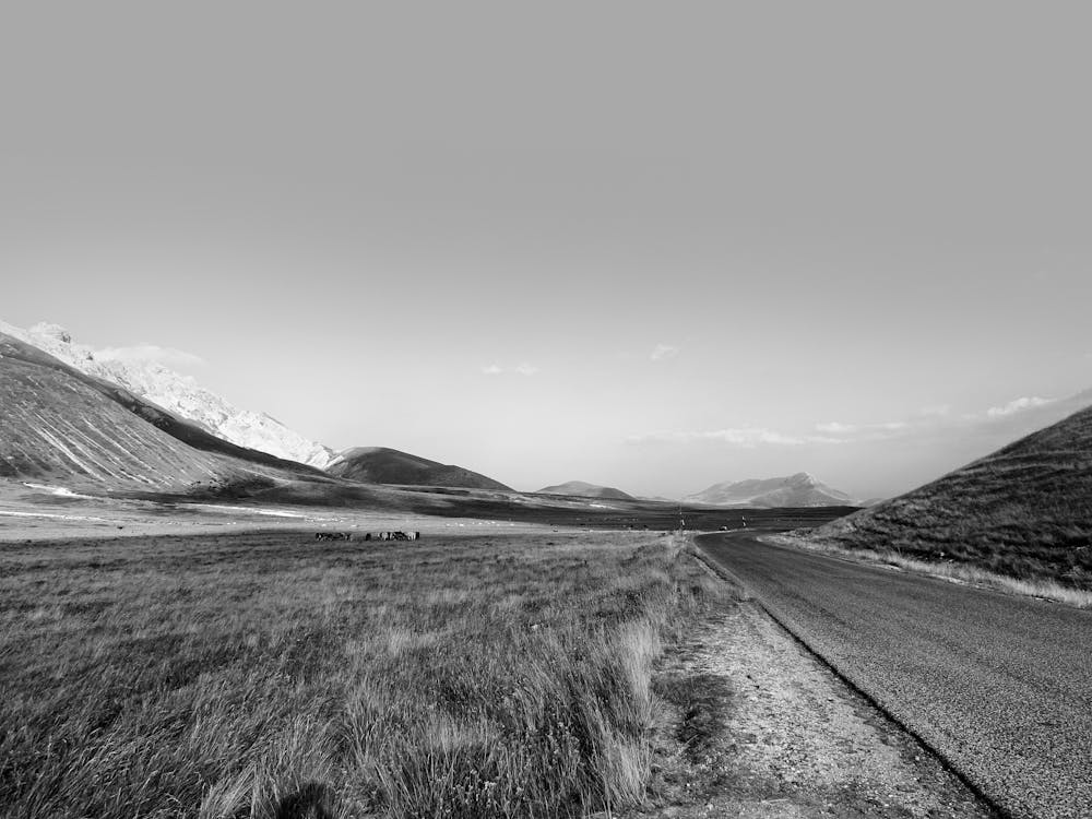 Free stock photo of parco nazionale abruzzo