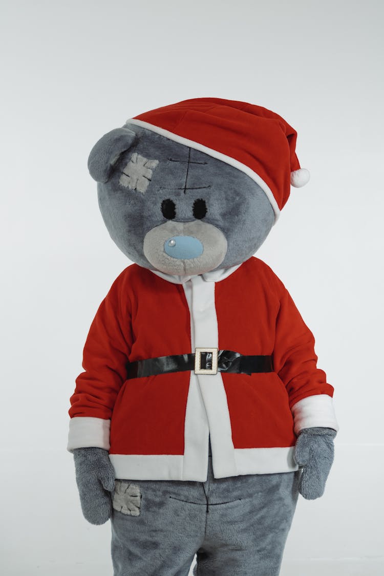 A Teddy Bear Mascot In Santa Claus Costume