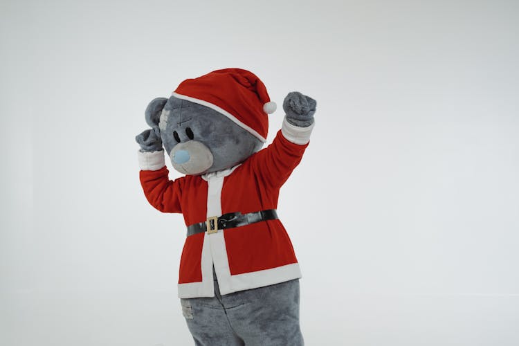 A Teddy Bear Mascot In Santa Claus Costume