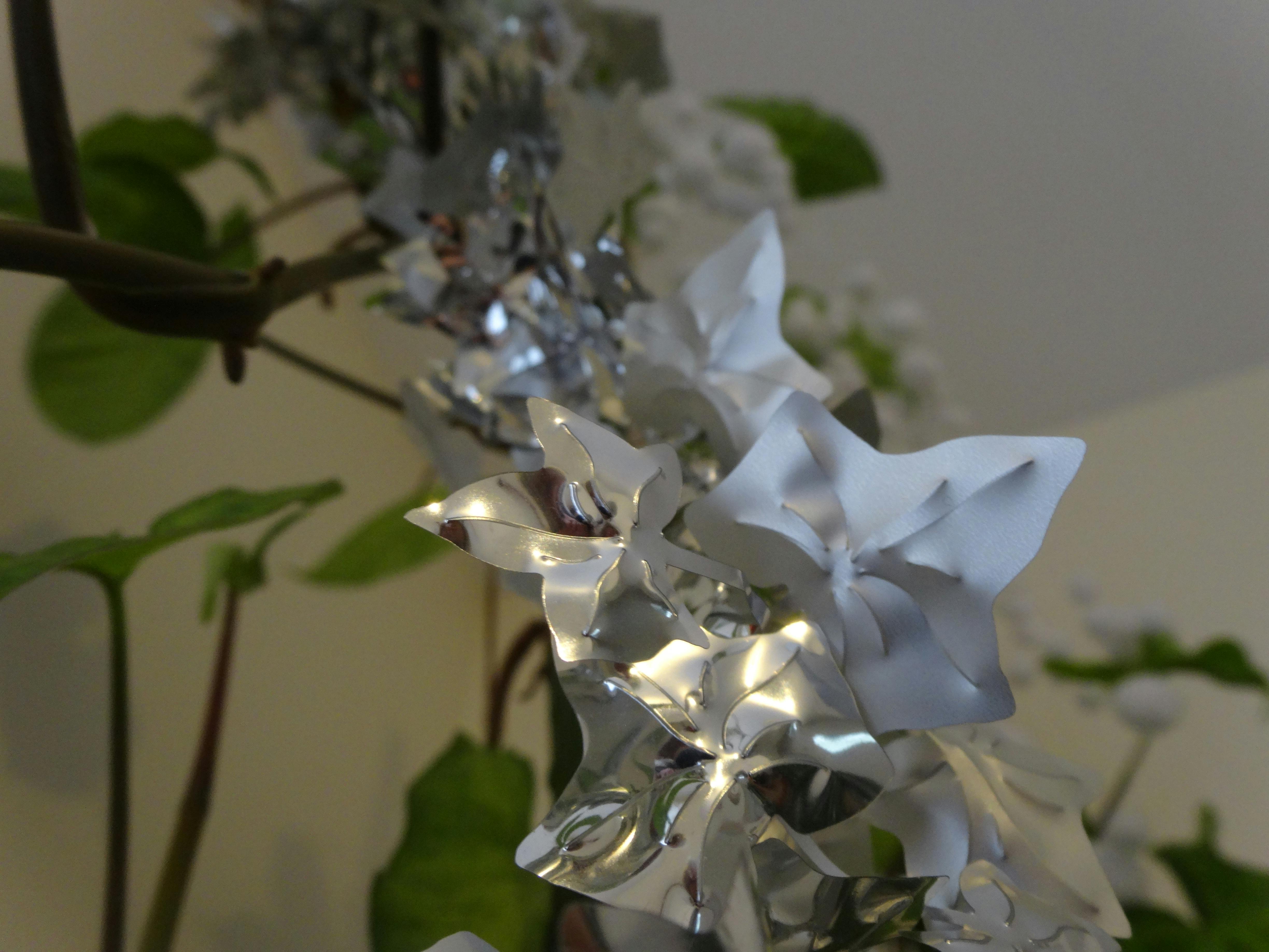 OXCCU SAF技術如何重塑2026年航空業綠色未來？深度剖析碳捕獲燃料的全球影響