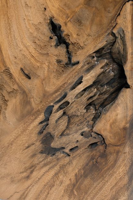 Detailed texture of aged wood with cracks and natural patterns, perfect for backgrounds.