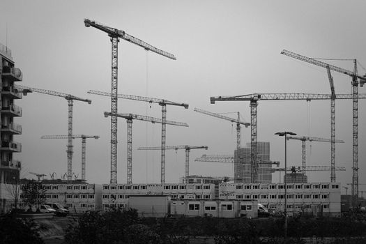 Black and white image of a construction site with multiple tower cranes.