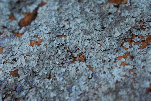 Gratis stockfoto met Bemoste rotsen, blauw, blauwgroen