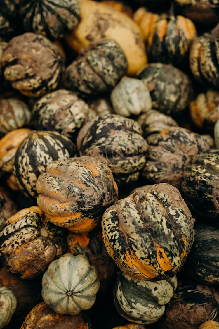 Pile Of Pumpkins