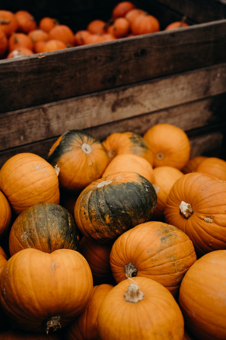 Pile Of Pumpkins